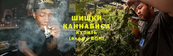 PSILOCYBIN Бугульма