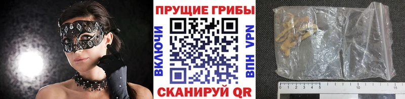 Галлюциногенные грибы Cubensis Купить Балашов